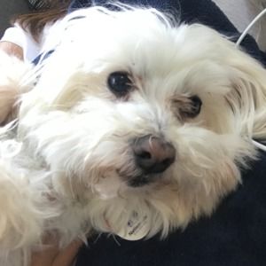 Meet your Posher, Kathleen